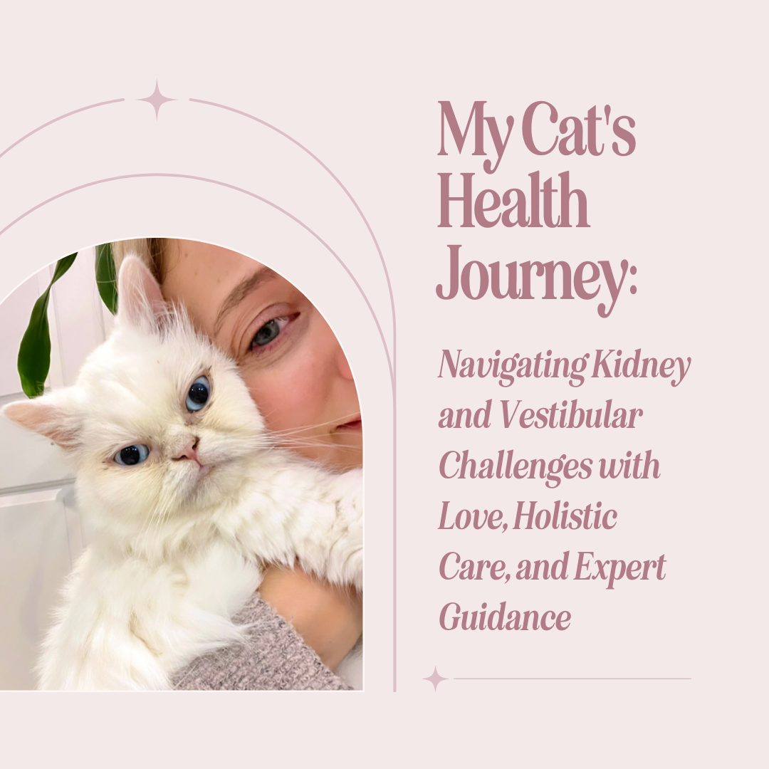 My Cat's Health Journey: Navigating Kidney and Vestibular Challenges with Love, Holistic Care, and Expert Guidance