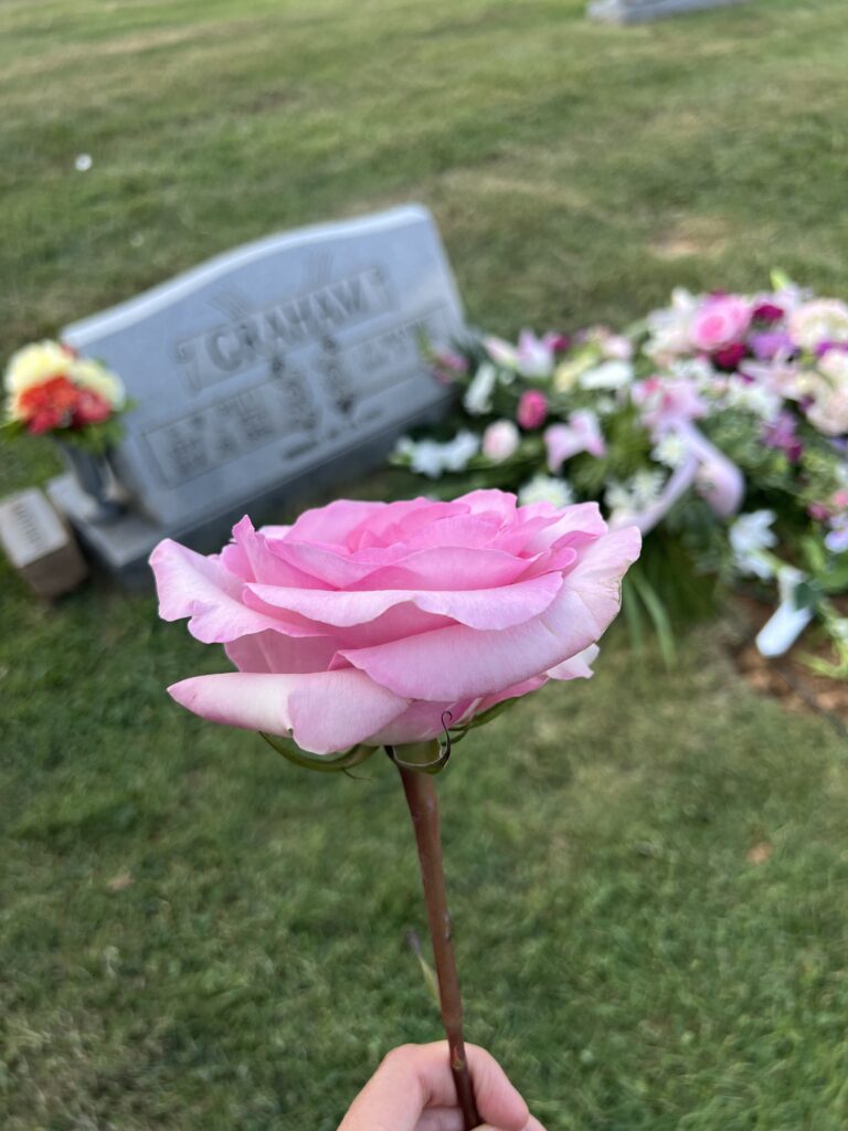 A picture of a rose in front of my granny's grave.